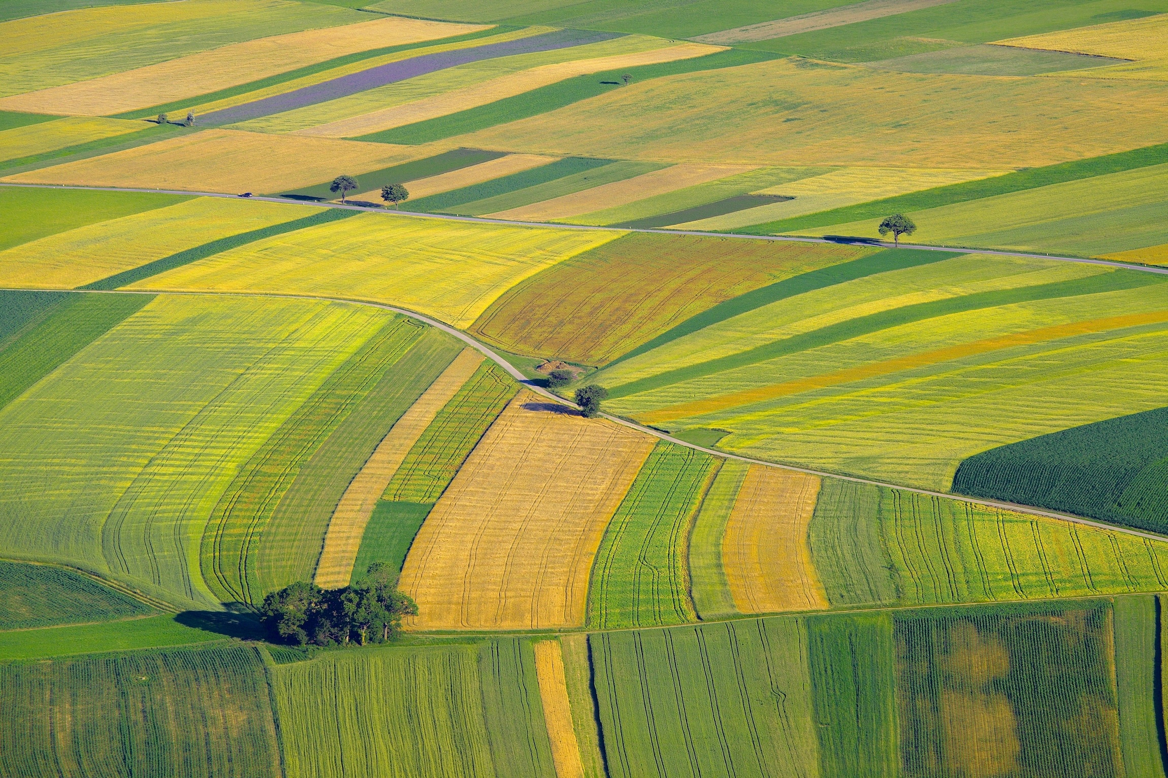 Poľnohospodárska krajina, agrodotácie